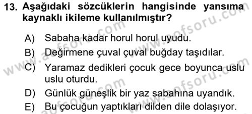 Türk Dili 1 Dersi 2016 - 2017 Yılı 3 Ders Sınav Soruları 13. Soru