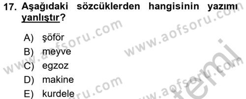 Türk Dili 1 Dersi 2016 - 2017 Yılı 3 Ders Sınav Soruları 17. Soru