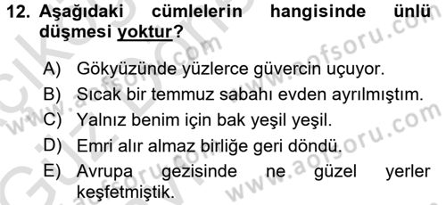 Türk Dili 1 Dersi 2016 - 2017 Yılı (Vize) Ara Sınav Soruları 12. Soru