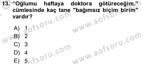 Türk Dili 1 Dersi 2016 - 2017 Yılı (Vize) Ara Sınav Soruları 13. Soru