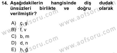 Türk Dili 1 Dersi 2016 - 2017 Yılı (Vize) Ara Sınav Soruları 14. Soru