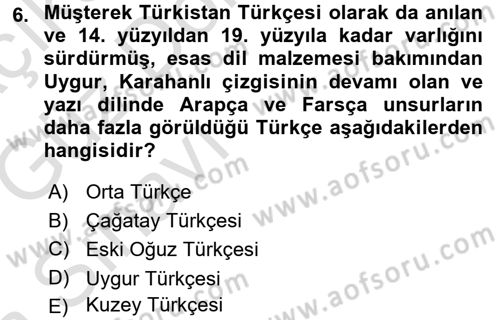 Türk Dili 1 Dersi 2016 - 2017 Yılı (Vize) Ara Sınav Soruları 6. Soru