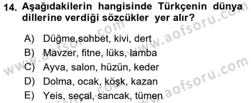 Türk Dili 1 Dersi 2017 - 2018 Yılı (Final) Dönem Sonu Sınav Soruları 14. Soru