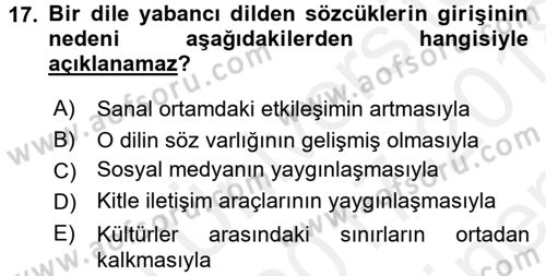 Türk Dili 1 Dersi 2017 - 2018 Yılı (Final) Dönem Sonu Sınav Soruları 17. Soru