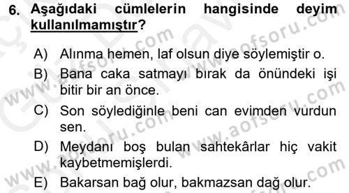 Türk Dili 1 Dersi 2017 - 2018 Yılı (Final) Dönem Sonu Sınav Soruları 6. Soru