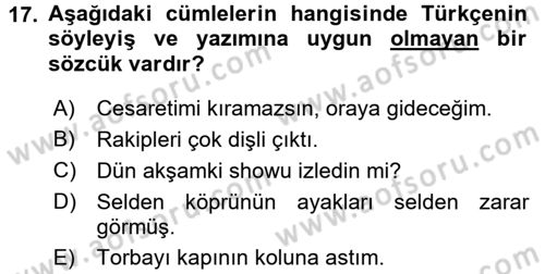 Türk Dili 1 Dersi 2018 - 2019 Yılı 3 Ders Sınav Soruları 17. Soru