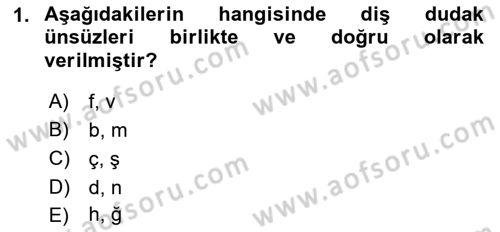 Türk Dili 1 Dersi 2018 - 2019 Yılı (Final) Dönem Sonu Sınav Soruları 1. Soru