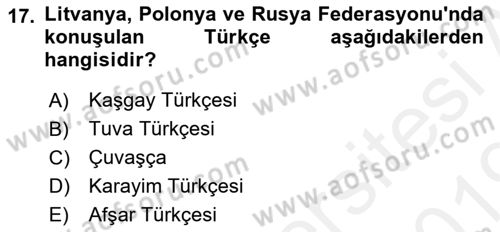 Türk Dili 1 Dersi 2018 - 2019 Yılı (Final) Dönem Sonu Sınav Soruları 17. Soru