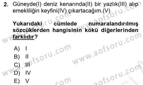 Türk Dili 1 Dersi 2018 - 2019 Yılı (Final) Dönem Sonu Sınav Soruları 2. Soru