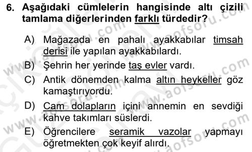 Türk Dili 1 Dersi 2018 - 2019 Yılı (Final) Dönem Sonu Sınav Soruları 6. Soru