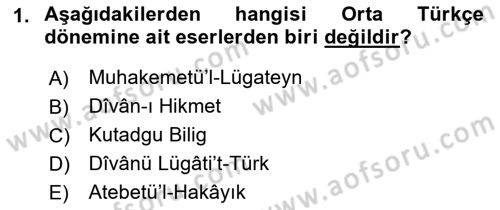 Türk Dili 1 Dersi 2018 - 2019 Yılı Yaz Okulu Sınav Soruları 1. Soru