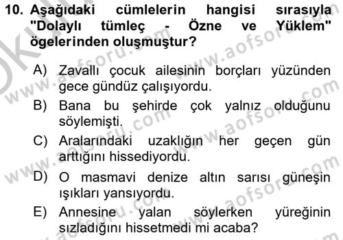Türk Dili 1 Dersi 2018 - 2019 Yılı Yaz Okulu Sınav Soruları 10. Soru