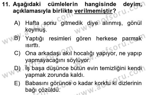 Türk Dili 1 Dersi 2018 - 2019 Yılı Yaz Okulu Sınav Soruları 11. Soru