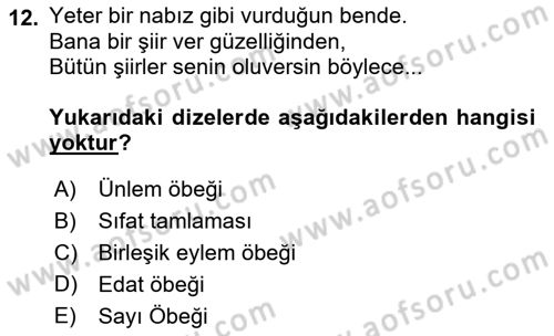 Türk Dili 1 Dersi 2018 - 2019 Yılı Yaz Okulu Sınav Soruları 12. Soru