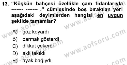 Türk Dili 1 Dersi 2018 - 2019 Yılı Yaz Okulu Sınav Soruları 13. Soru