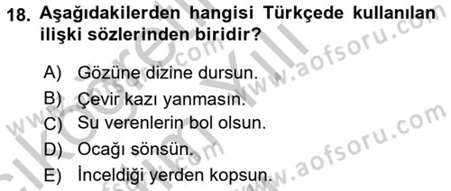 Türk Dili 1 Dersi 2018 - 2019 Yılı Yaz Okulu Sınav Soruları 18. Soru