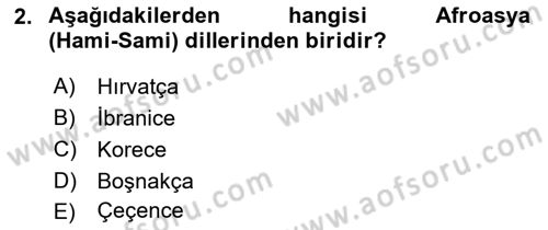 Türk Dili 1 Dersi 2018 - 2019 Yılı Yaz Okulu Sınav Soruları 2. Soru