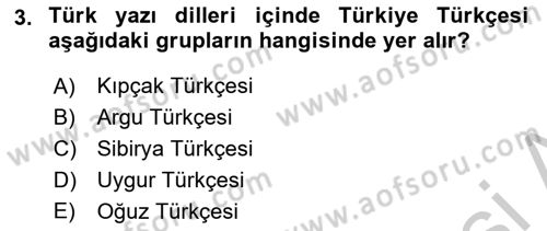 Türk Dili 1 Dersi 2018 - 2019 Yılı Yaz Okulu Sınav Soruları 3. Soru