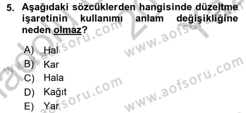 Türk Dili 1 Dersi 2018 - 2019 Yılı Yaz Okulu Sınav Soruları 5. Soru