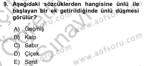 Türk Dili 1 Dersi 2018 - 2019 Yılı Yaz Okulu Sınav Soruları 9. Soru