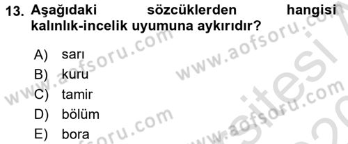 Türk Dili 1 Dersi 2019 - 2020 Yılı (Vize) Ara Sınav Soruları 13. Soru