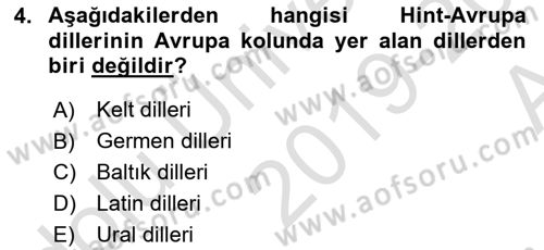 Türk Dili 1 Dersi 2019 - 2020 Yılı (Vize) Ara Sınav Soruları 4. Soru