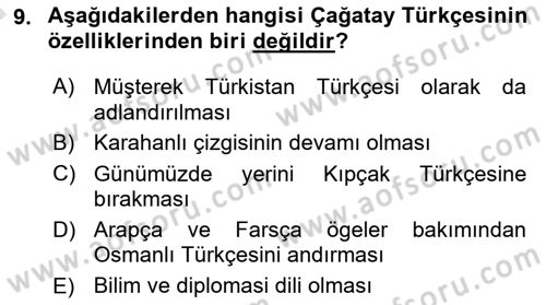 Türk Dili 1 Dersi 2019 - 2020 Yılı (Vize) Ara Sınav Soruları 9. Soru