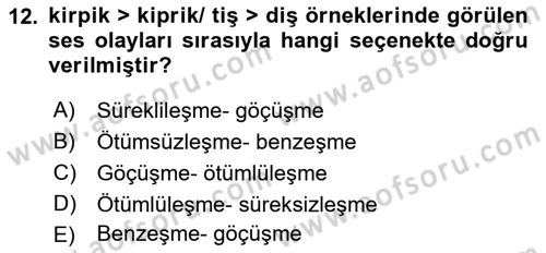 Türk Dili 1 Dersi 2021 - 2022 Yılı (Vize) Ara Sınav Soruları 12. Soru
