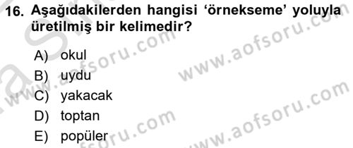 Türk Dili 1 Dersi 2021 - 2022 Yılı (Vize) Ara Sınav Soruları 16. Soru