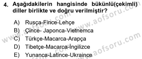 Türk Dili 1 Dersi 2021 - 2022 Yılı (Vize) Ara Sınav Soruları 4. Soru