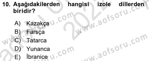 Türk Dili 1 Dersi 2022 - 2023 Yılı (Vize) Ara Sınav Soruları 10. Soru