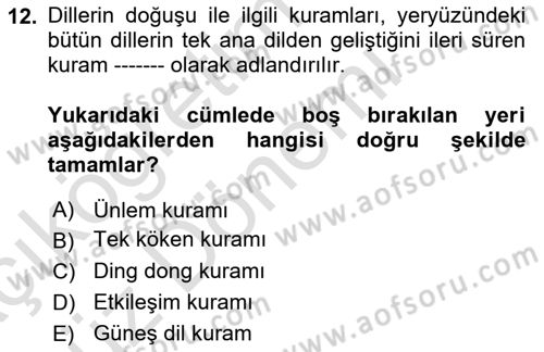 Türk Dili 1 Dersi 2023 - 2024 Yılı (Vize) Ara Sınav Soruları 12. Soru