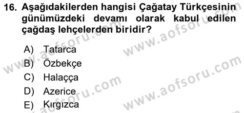 Türk Dili 1 Dersi 2023 - 2024 Yılı (Vize) Ara Sınav Soruları 16. Soru