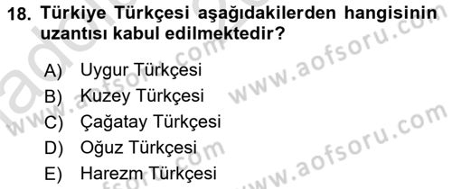 Türk Dili 1 Dersi 2023 - 2024 Yılı (Vize) Ara Sınav Soruları 18. Soru