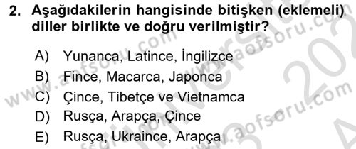 Türk Dili 1 Dersi 2023 - 2024 Yılı (Vize) Ara Sınav Soruları 2. Soru