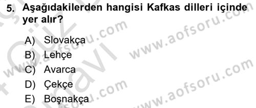 Türk Dili 1 Dersi 2023 - 2024 Yılı (Vize) Ara Sınav Soruları 5. Soru