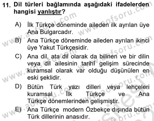 Türk Dili 1 Dersi 2024 - 2025 Yılı (Vize) Ara Sınav Soruları 11. Soru
