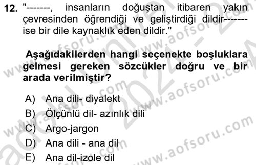 Türk Dili 1 Dersi 2024 - 2025 Yılı (Vize) Ara Sınav Soruları 12. Soru