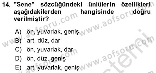 Türk Dili 1 Dersi 2024 - 2025 Yılı (Vize) Ara Sınav Soruları 14. Soru