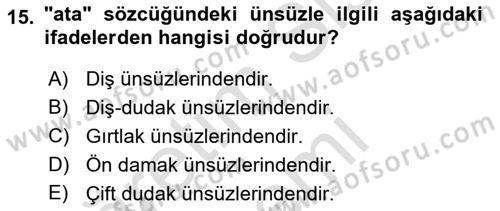 Türk Dili 1 Dersi 2024 - 2025 Yılı (Vize) Ara Sınav Soruları 15. Soru