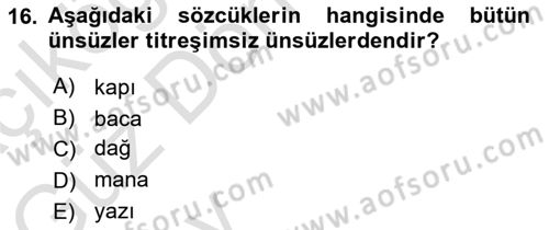 Türk Dili 1 Dersi 2024 - 2025 Yılı (Vize) Ara Sınav Soruları 16. Soru