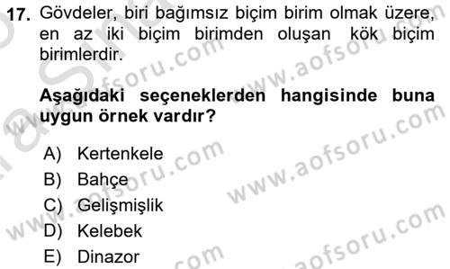 Türk Dili 1 Dersi 2024 - 2025 Yılı (Vize) Ara Sınav Soruları 17. Soru