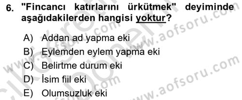 Türk Dili 1 Dersi 2024 - 2025 Yılı (Vize) Ara Sınav Soruları 6. Soru