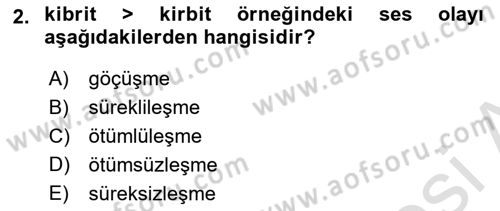 Türk Dili 1 Dersi 2024 - 2025 Yılı (Final) Dönem Sonu Sınav Soruları 2. Soru