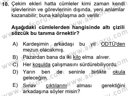Türk Dili 1 Dersi 2024 - 2025 Yılı Yaz Okulu Sınav Soruları 10. Soru