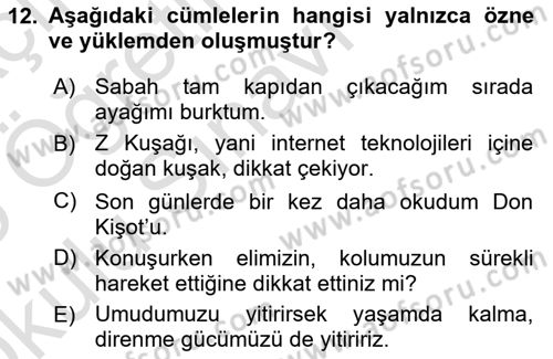 Türk Dili 1 Dersi 2024 - 2025 Yılı Yaz Okulu Sınav Soruları 12. Soru