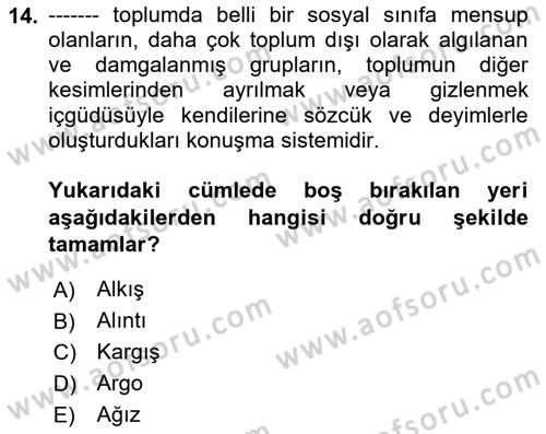 Türk Dili 1 Dersi 2024 - 2025 Yılı Yaz Okulu Sınav Soruları 14. Soru