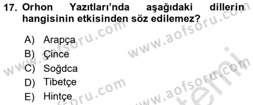 Türk Dili 1 Dersi 2024 - 2025 Yılı Yaz Okulu Sınav Soruları 17. Soru