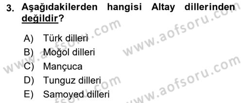 Türk Dili 1 Dersi 2024 - 2025 Yılı Yaz Okulu Sınav Soruları 3. Soru