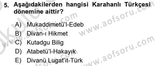 Türk Dili 1 Dersi 2024 - 2025 Yılı Yaz Okulu Sınav Soruları 5. Soru